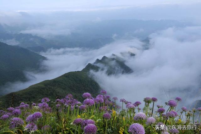 貴州景點排名大全集貴州?。ㄙF州最值得旅游的景點排名前十大）(9)