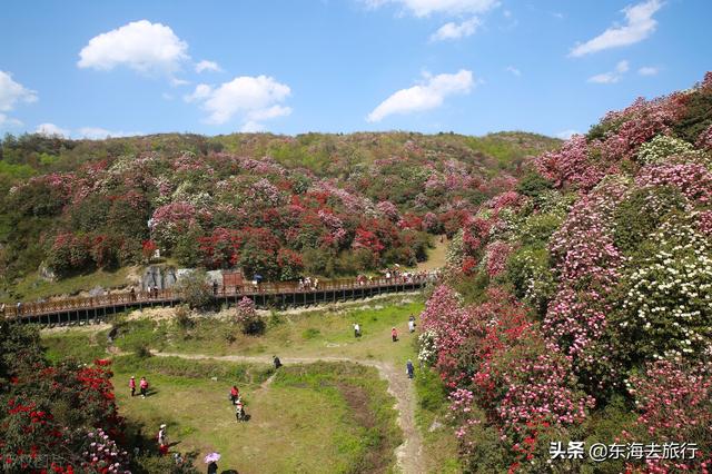 貴州景點排名大全集貴州?。ㄙF州最值得旅游的景點排名前十大）(11)
