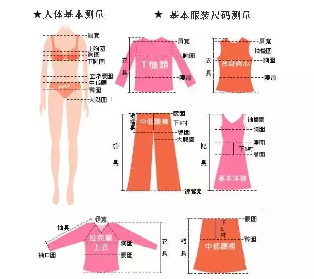 內(nèi)衣尺寸參照表怎么量（最全最專業(yè)服裝尺碼對照表）(1)