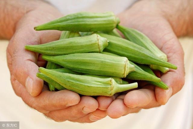 秋葵吃了有哪些好處（秋葵的營(yíng)養(yǎng)價(jià)值及食用禁忌）(3)