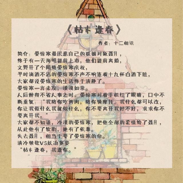 超好看的言情小說(shuō)有哪些（五本冷門好看的言情文推薦）(2)