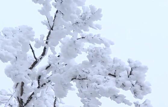 發(fā)個(gè)雪景的說(shuō)說(shuō)朋友圈（下雪了發(fā)朋友圈的句子簡(jiǎn)單溫暖）(1)