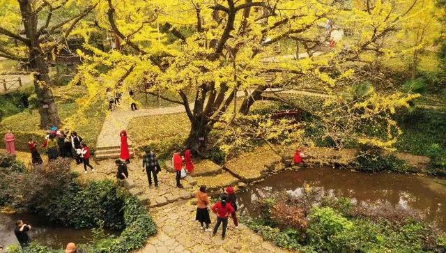 貴陽旅游攻略自由行攻略（貴陽周邊值得游玩的八個絕美村寨）(3)