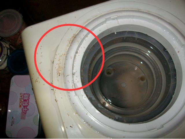 如何清洗飲水機(jī)內(nèi)部的污垢（正確清洗飲水機(jī)小妙招）(1)