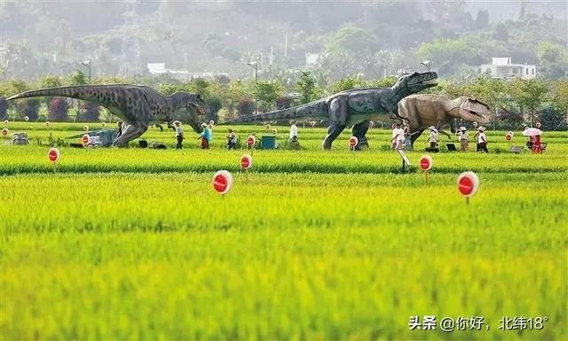 三亞外景攝影推薦（三亞哪個(gè)景點(diǎn)拍照最好）(12)