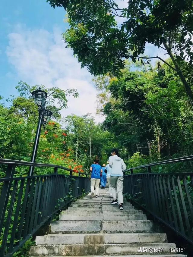 三亞外景攝影推薦（三亞哪個(gè)景點(diǎn)拍照最好）(15)