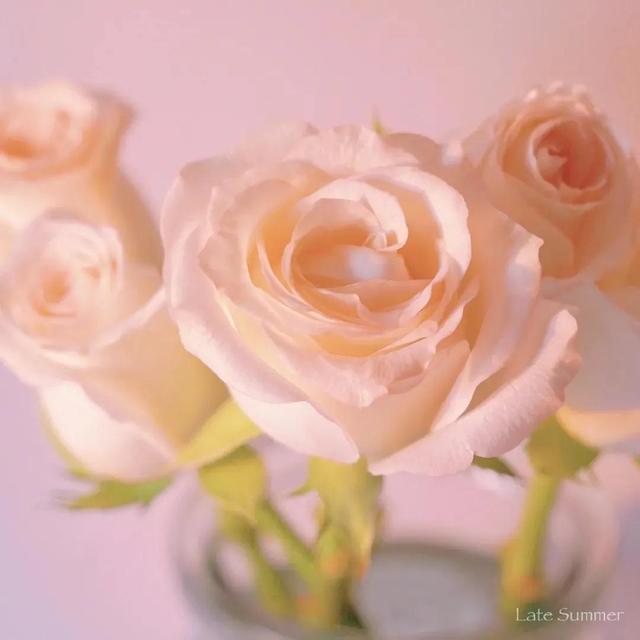 適合情人節(jié)發(fā)的說(shuō)說(shuō)（100句適合情人節(jié)發(fā)的文案）(11)