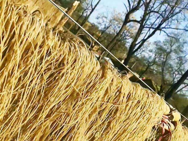 粉條的做法大全（粉條和什么菜做最好吃）(1)