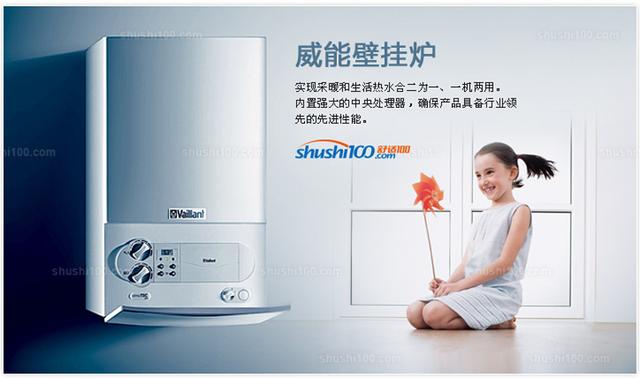 壁掛爐十大品牌排名（壁掛爐什么牌子好）(2)