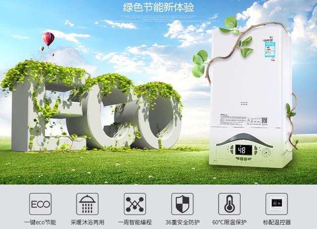 壁掛爐十大品牌排名（壁掛爐什么牌子好）(10)