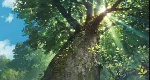 植樹(shù)節(jié)來(lái)歷和意義簡(jiǎn)介（植樹(shù)節(jié)的由來(lái)簡(jiǎn)介植樹(shù)的好處）(6)