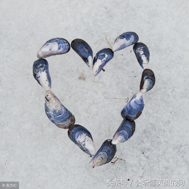 用英文表達(dá)愛(ài)意的句子（讓人瘋狂的10個(gè)黃金英語(yǔ)表白句子）(1)