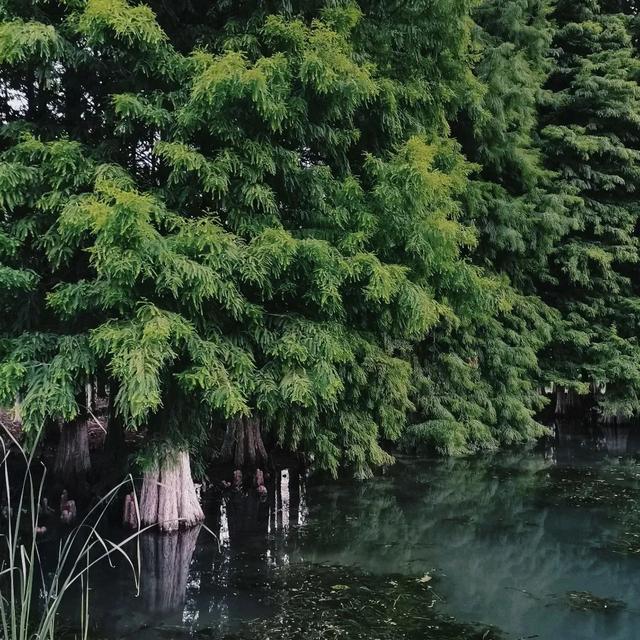 世界旅游景點(diǎn)圖片大全（世界上最美的10個(gè)旅行地）(49)