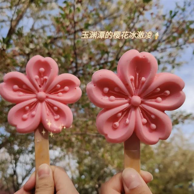 世界旅游景點(diǎn)圖片大全（世界上最美的10個(gè)旅行地）(54)