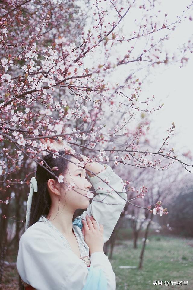 情感詩詞大全愛情（十二句驚艷到你的唯美古詩詞）(8)
