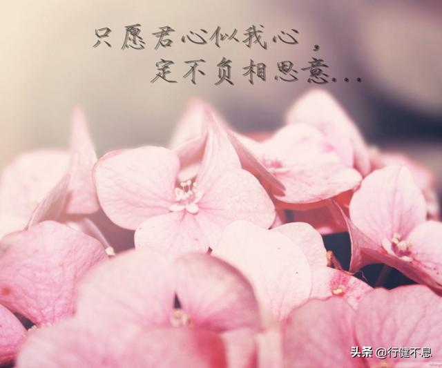 情感詩詞大全愛情（十二句驚艷到你的唯美古詩詞）(16)