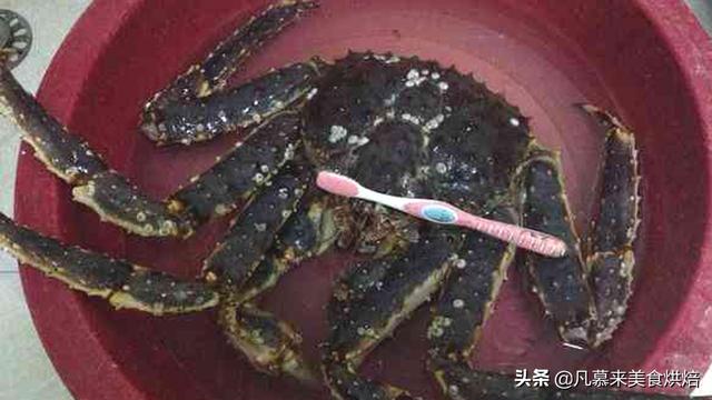 帝王蟹怎么做好吃（帝王蟹的五種吃法）(2)