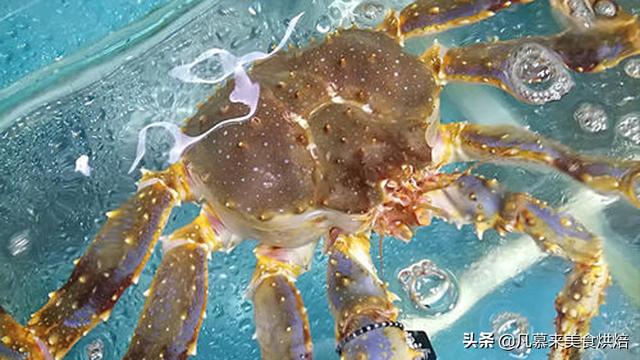 帝王蟹怎么做好吃（帝王蟹的五種吃法）(18)