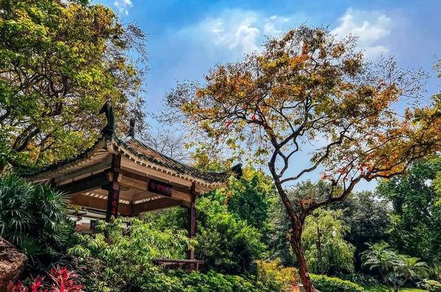 廣州市的旅游景點(diǎn)有哪些（廣州旅游十大必去景點(diǎn)你去過嗎）(25)