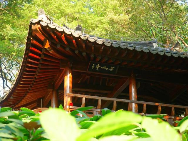 廣州市的旅游景點(diǎn)有哪些（廣州旅游十大必去景點(diǎn)你去過嗎）(26)