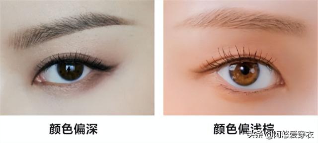 染發(fā)什么顏色好看（分享三種發(fā)色必不可少）(2)