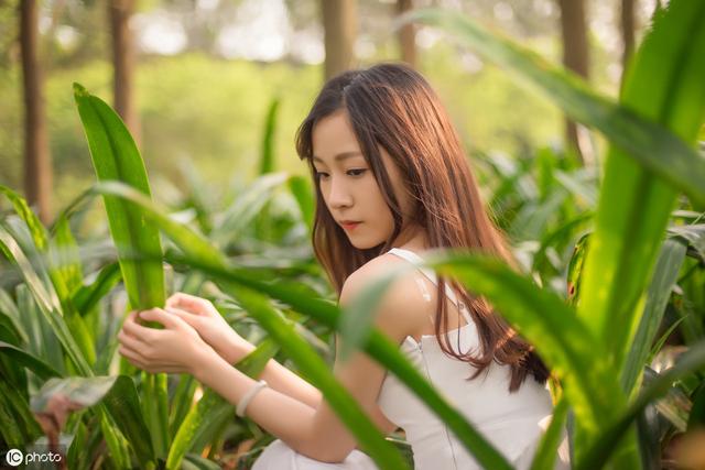 情感美文欣賞（人生感悟情感美文欣賞）(3)