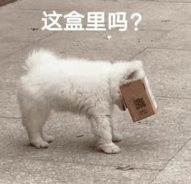 七夕送男朋友啥禮物（七夕男友禮物清單實用高級）(8)