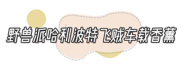 七夕送男朋友啥禮物（七夕男友禮物清單實用高級）(26)