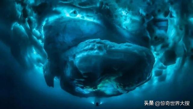 深海恐懼癥圖片（25張讓人心跳加速的照片）(1)