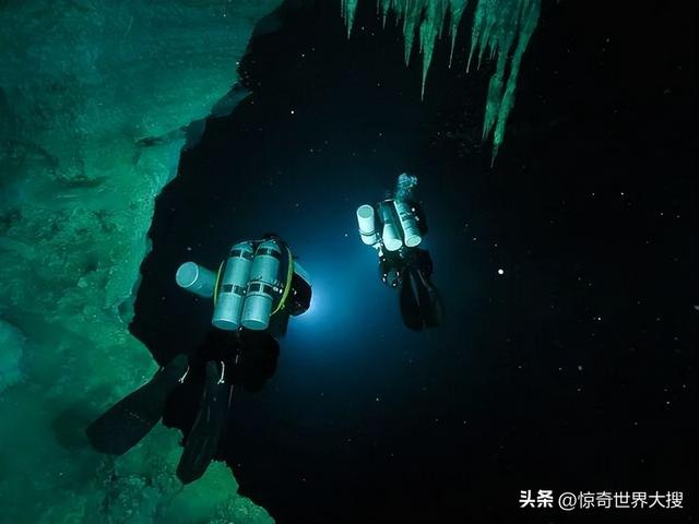 深海恐懼癥圖片（25張讓人心跳加速的照片）(3)