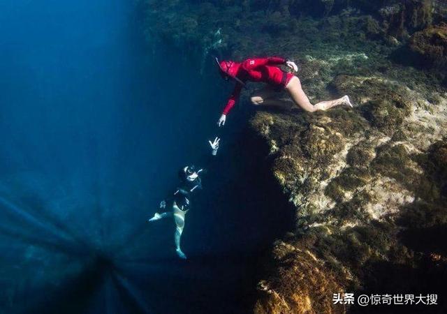 深海恐懼癥圖片（25張讓人心跳加速的照片）(6)