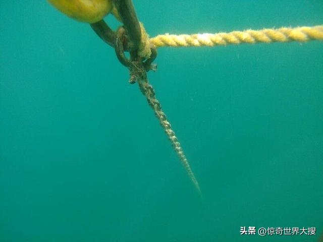 深?？謶职Y圖片（25張讓人心跳加速的照片）(14)