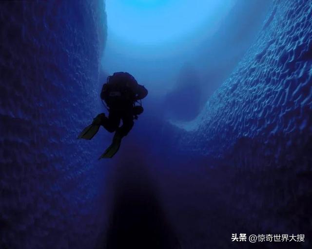 深?？謶职Y圖片（25張讓人心跳加速的照片）(19)