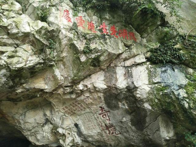 自駕游去貴州旅游最佳路線（貴州5條經(jīng)典自駕游路線）(7)