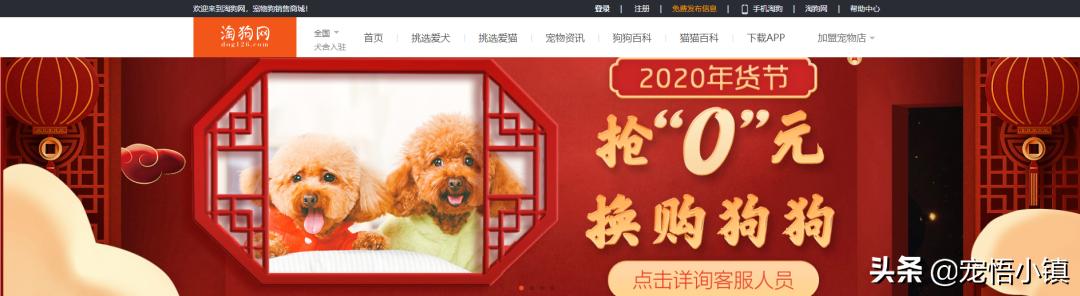 關(guān)于寵物的網(wǎng)站有哪些（國內(nèi)外較著名的寵物網(wǎng)站大全）(3)