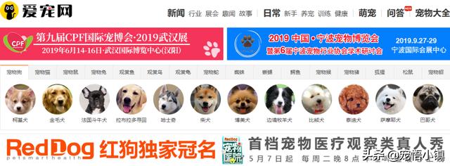 關(guān)于寵物的網(wǎng)站有哪些（國內(nèi)外較著名的寵物網(wǎng)站大全）(7)