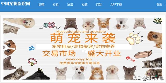 關(guān)于寵物的網(wǎng)站有哪些（國內(nèi)外較著名的寵物網(wǎng)站大全）(10)