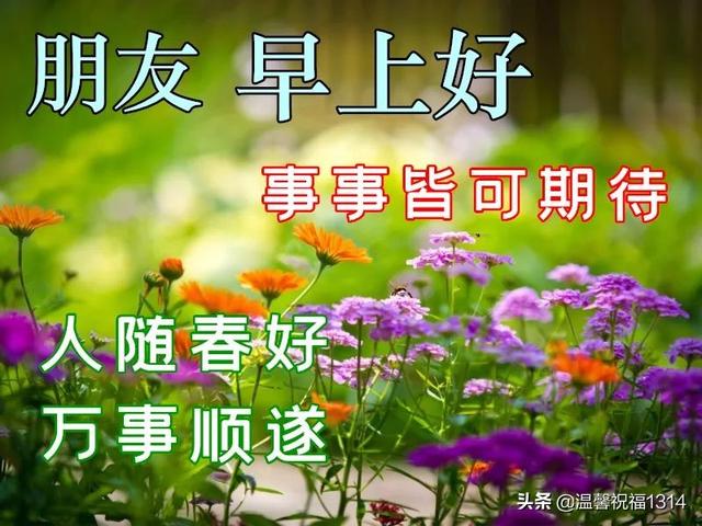 早安2022最新圖片（2022年最美暖心的問候祝福語）(1)