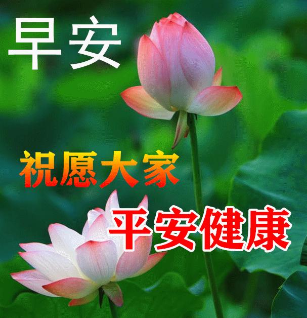 早安2022最新圖片（2022年最美暖心的問候祝福語）(2)