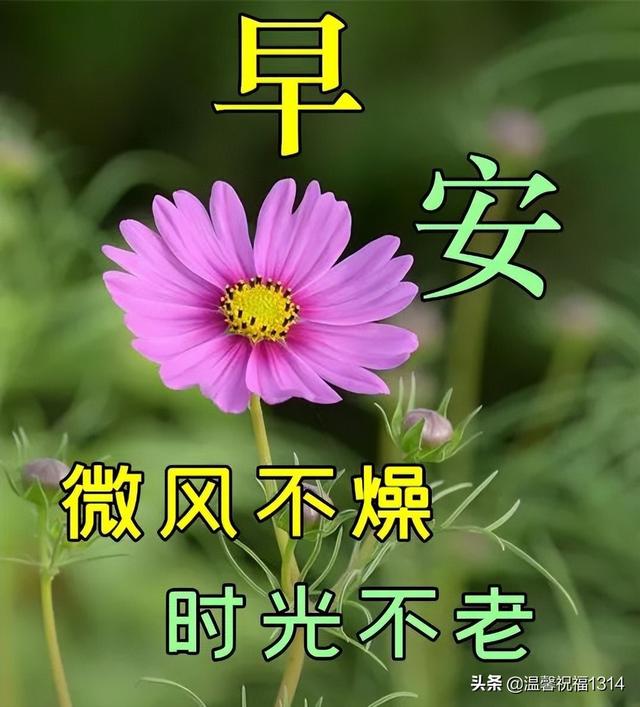 早安2022最新圖片（2022年最美暖心的問候祝福語）(3)
