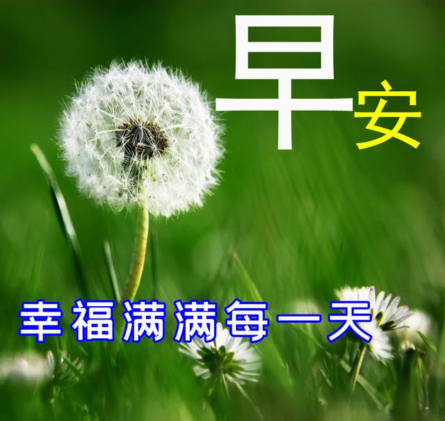 早安2022最新圖片（2022年最美暖心的問候祝福語）(5)
