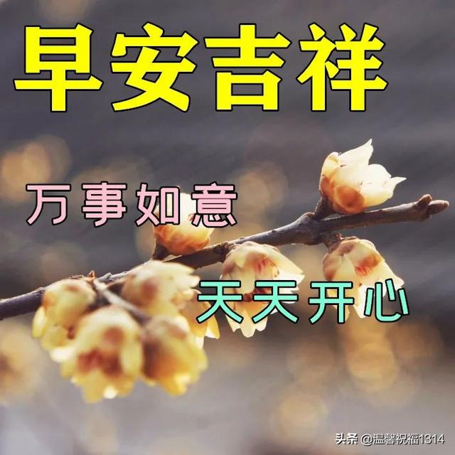 早安2022最新圖片（2022年最美暖心的問候祝福語）(6)