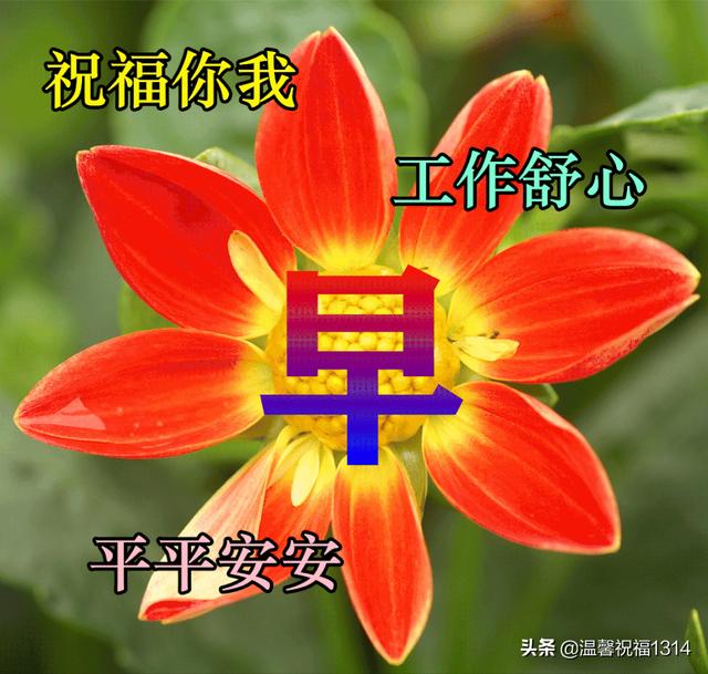 早安2022最新圖片（2022年最美暖心的問候祝福語）(7)