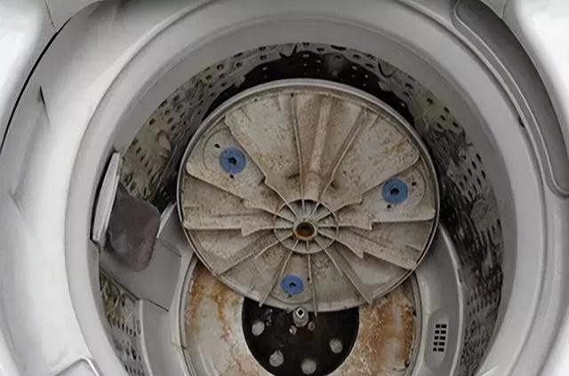 洗衣機清洗怎么清洗（教你一招不花錢清洗洗衣機的方法）(1)