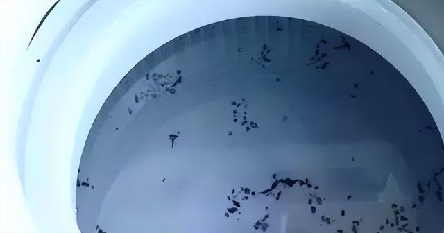 洗衣機清洗怎么清洗（教你一招不花錢清洗洗衣機的方法）(4)