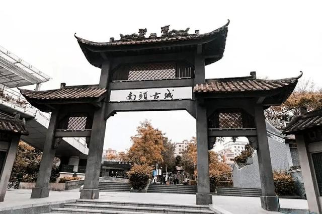深圳一日游推薦路線（深圳必去的地方還免費）(16)