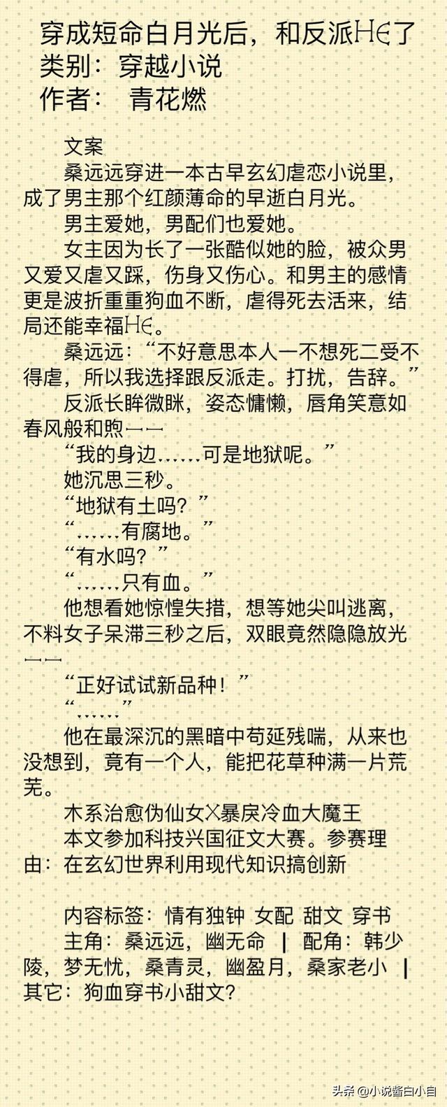 免費(fèi)完結(jié)穿越小說有哪些（推薦5篇穿越小說）(2)