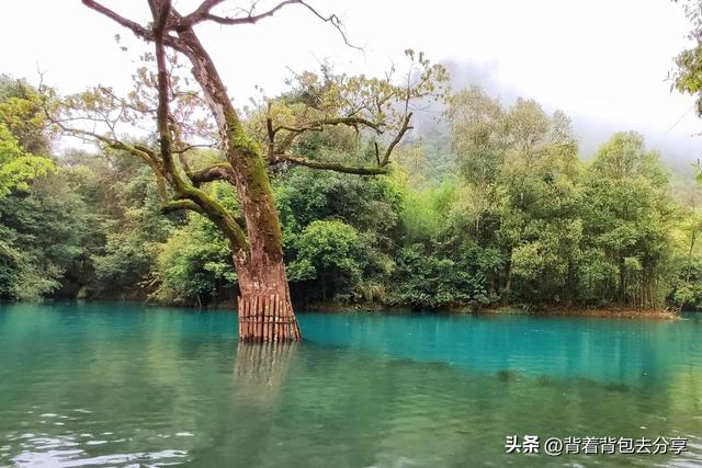 國(guó)內(nèi)旅游景點(diǎn)排行（國(guó)內(nèi)十大自然景觀）(10)