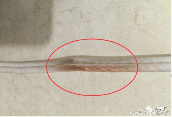 音箱線用什么線最好（家庭影院音箱線怎么選）(1)