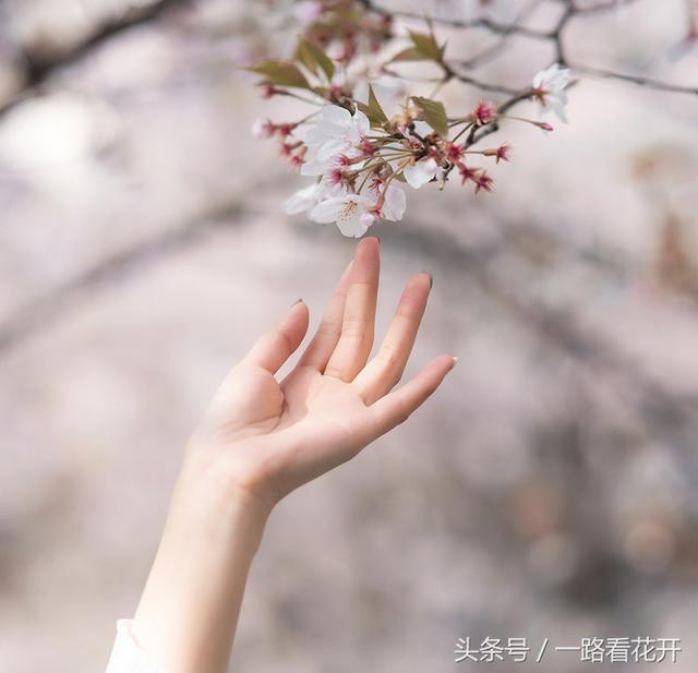 婆媳是怎樣煉成的（這篇文章告訴你答案）(7)